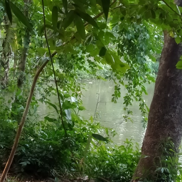 Meet your Posher, Antara - Picture 1 of 1